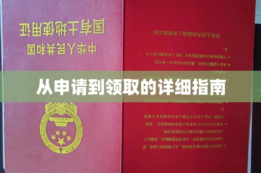 赤坎从申请到领取的详细指南