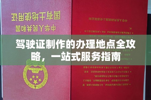 赤坎驾驶证制作的办理地点全攻略，一站式服务指南
